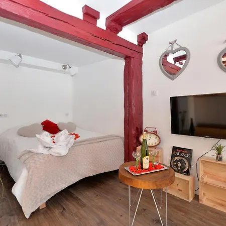 La Stub De La Petite Venise 公寓 科尔马