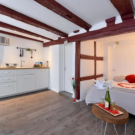 公寓 La Stub De La Petite Venise 科尔马