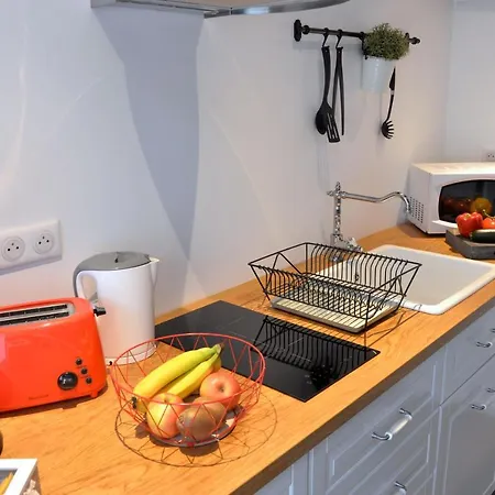 La Stub De La Petite Venise * 科尔马